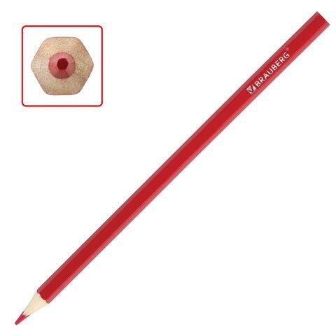 Карандаши цветные 12цв заточен, карт упак BRAUBERG My lovely dogs Забавные щенки 1/12/240