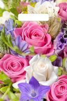 Пакет с вырубной ручкой (20х30)-30 Лирика 100/3000