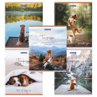 Тетрадь 48л А5 клетка Best Friends BRAUBERG 10/100