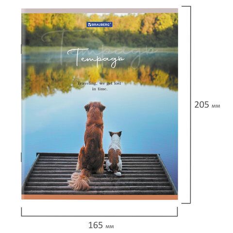 Тетрадь 48л А5 клетка Best Friends BRAUBERG 10/100