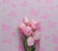 Ролик 70см х8м пленка полипропилен с рисунком Бабочки розовый 1/10 Ролик 70см х8м пленка полипропилен с рисунком Бабочки розовый 1/10