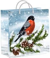 НГ Сумка пластиковая (30х30)-140 Снегирек ТИКО 1/40