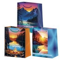 Пакет подарочный бумажный (26,4х32,7x13,6) ламинир мужской микс 1/12/240 Пакет подарочный бумажный (26,4х32,7x13,6) ламинир мужской микс 1/12/240