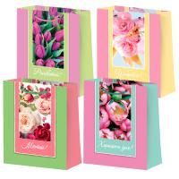 Пакет подарочный бумажный (18х23х8) ламинир Микс 4 дизайна 1/360 Пакет подарочный бумажный (18х23х8) ламинир Микс 4 дизайна 1/360