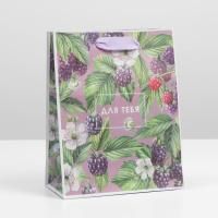 Пакет подарочный бумажный (18х23х8) крафт Для тебя 1/300 Пакет подарочный бумажный (18х23х8) крафт Для тебя 1/300