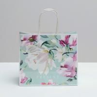 Пакет подарочный бумажный (25х22x12) крафтовый Present 1/300 Пакет подарочный бумажный (25х22x12) крафтовый Present 1/300