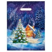 НГ Пакет с вырубной ручкой (31х40)-60 Ночное чудо 50/500