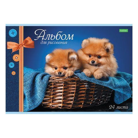 Альбом для рисования 24л А4 обложка офсет ассорти Хатбер 1/11