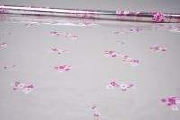 Ролик 70см х8м пленка полипропилен с рисунком Анютины глазки бело-фуксия 1/10 Ролик 70см х8м пленка полипропилен с рисунком Анютины глазки бело-фуксия 1/10