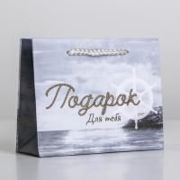 Пакет подарочный бумажный (15х12x5,5) ламинир Present for you 1/1200 Пакет подарочный бумажный (15х12x5,5) ламинир Present for you 1/1200