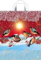 НГ Пакет с петлевой ручкой (38х45)-35 Пернатые гости Тико 50/500