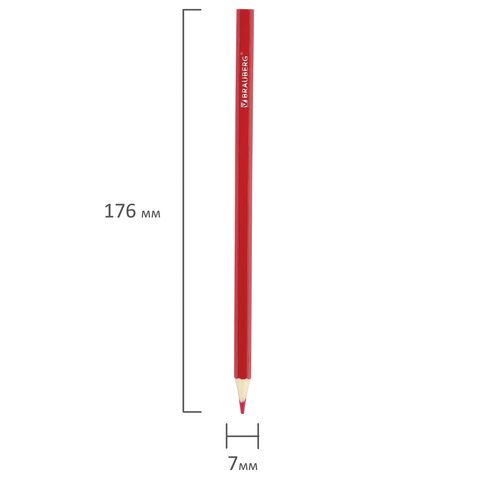 Карандаши цветные 12цв заточен, карт упак BRAUBERG My lovely dogs Забавные щенки 1/12/240