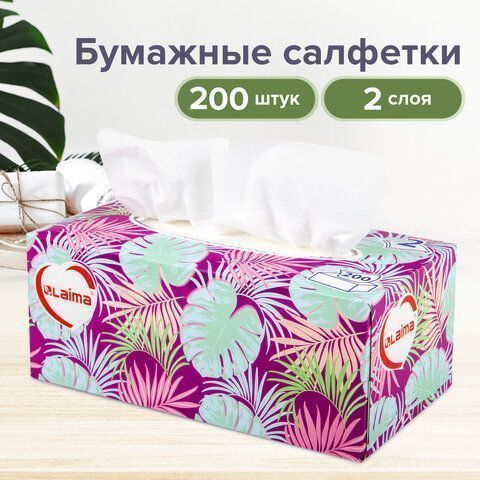 Салфетки косметические 2-сл в короб 20х20см (200шт) в картонном боксе Лайма 1/20 (клиент)
