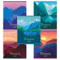 Тетрадь 48л А5  клетка обложка картон Majesty BRAUBERG 1/10/100