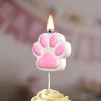 Свеча для торта на шпажке Лапка-сквиш розовая 1/30