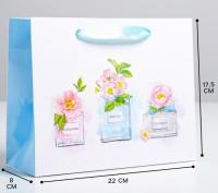 Пакет подарочный бумажный (22х17,5х8) ламинир С пожеланиями 1/12 Пакет подарочный бумажный (22х17,5х8) ламинир С пожеланиями 1/12