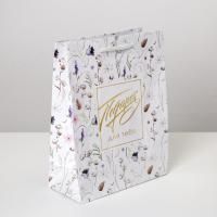 Пакет подарочный бумажный (18х23х8) ламинир Gift for you 1/1 Пакет подарочный бумажный (18х23х8) ламинир Gift for you 1/1